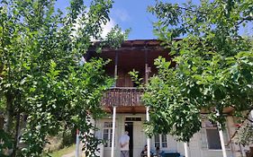Racha Chogovadze'S Guest House